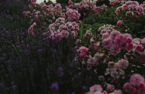 Ranczo w Dolinie - Foto 45