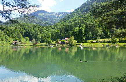 Ferienwohnung Alpenfex - Foto 2
