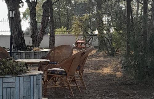 Costa Mama VIlla - Photo 45