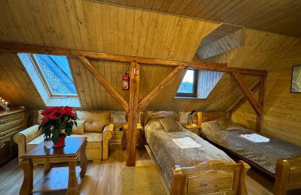 Kamień i Sowa - Foto 79