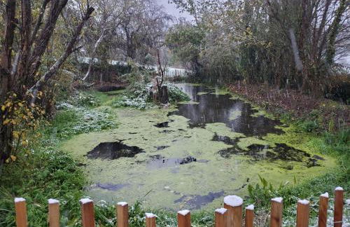 Le clos des sources - Foto 52