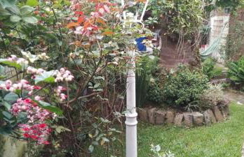 Muito espaço e natureza no meio da cidade - Foto 34