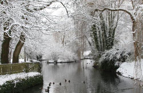 Little Norton Mill - Photo 91