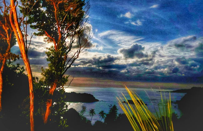 Blue Whale Villa - Photo 64