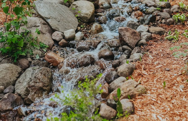 Jack Pines Resort - Foto 17