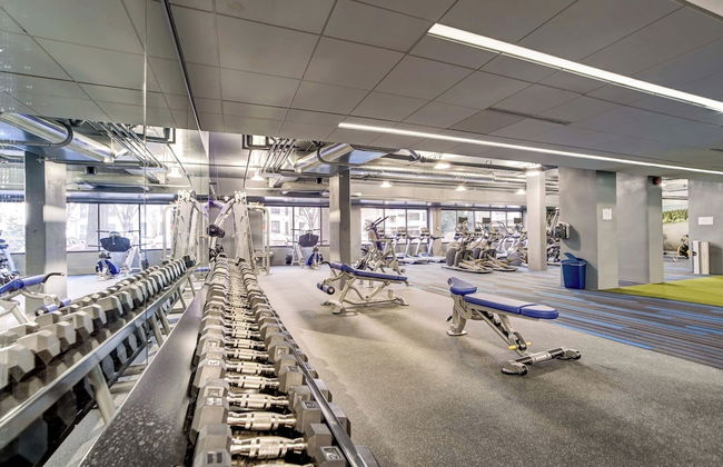 Comfortable Apt in Crystal City - Photo 22