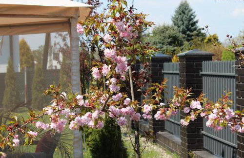 K&B Residence - Foto 40