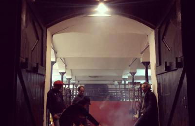 Gut Aspern Polohof - Foto 25