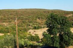 Apartmani Tustica - Foto 37