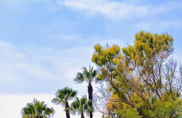 Ático tipo loft en primera línea de playa - Photo 27