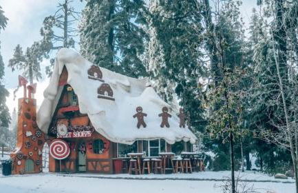 Gingerbread Gardens - Foto 41