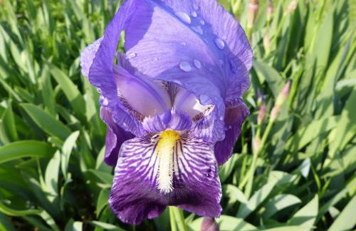 Casa vacanze Ester - Photo 55