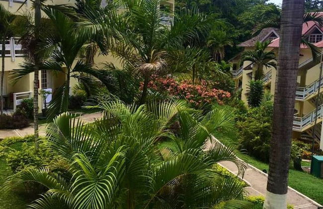 Endless Summer Brookside - Foto 8