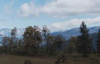 Secluded rustic 2-bedroom cabin at nature retreat - Photo 12