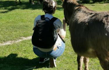Hof Albersmeier Hüttinghausen / Urlaub am Stall - Foto 52