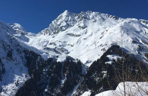 Le Roselend - Foto 24