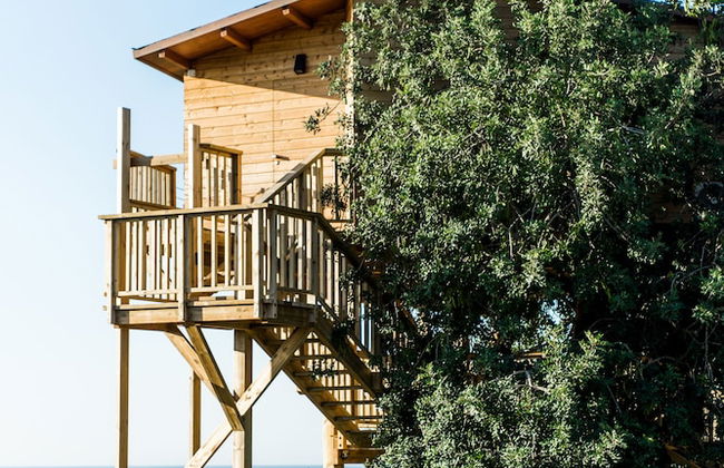 Conversas de Alpendre - Foto 7