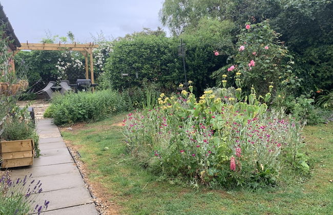 Come & Stay on a Real Norfolk Vineyard - Foto 22