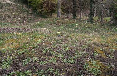 Plesivica Hillside Holiday Home With Hot -tub - Foto 34