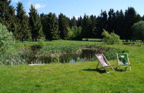 Kammbaude Neuhermsdorf - Foto 13