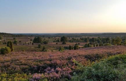 Ferienwohnung Parkblick - Foto 15