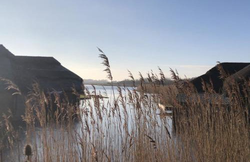 Dog friendly cottage on the edge of the Norfolk Broads - Foto 6