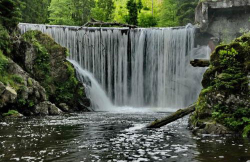 Ferienhaus Lindenglück - Foto 20