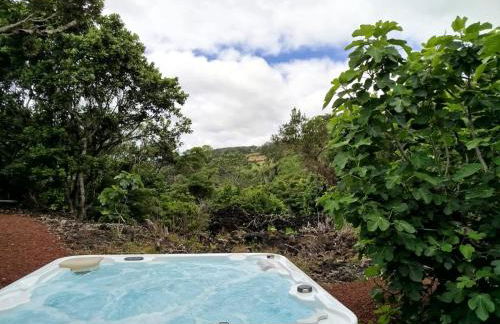 Aldeia Dos Caldeirões - Photo 80