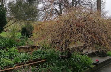 The Beeches - Foto 20