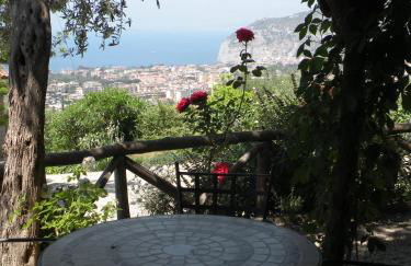 Agriturismo L'Olivara - Foto 17