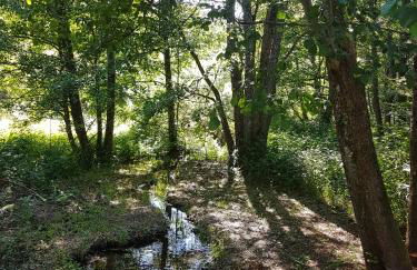 Insolite Tiny House Sérénité Bien Être - Foto 52