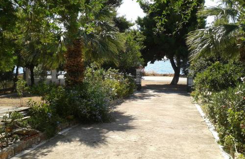 Elea Guesthouse - Photo 69