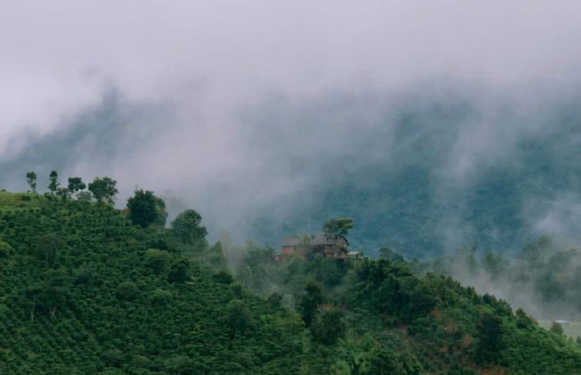 Homestay A Suy Ta Dung - Photo 31