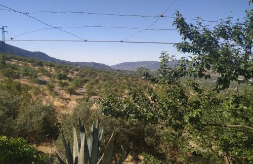 Loma Negra - Photo 41