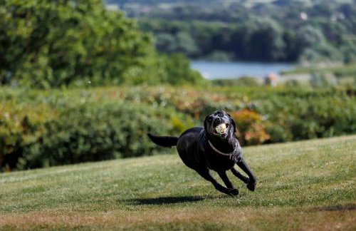 Kingsley Lake View - Foto 5