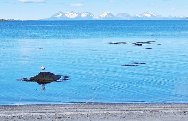 6 Person Holiday Home in Hamnvik - Foto 49