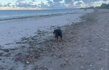 Casa de veraneio e temporada em Camboinha 1 - Photo 3