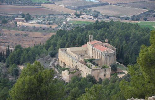 Els Ports d'Horta - Foto 47