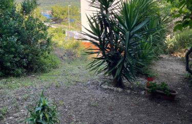 Apartments Despotović - Photo 20