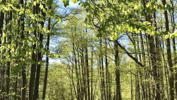 Holiday Home Marla Comfortable Vacation Home - Foto 5, Zimmer