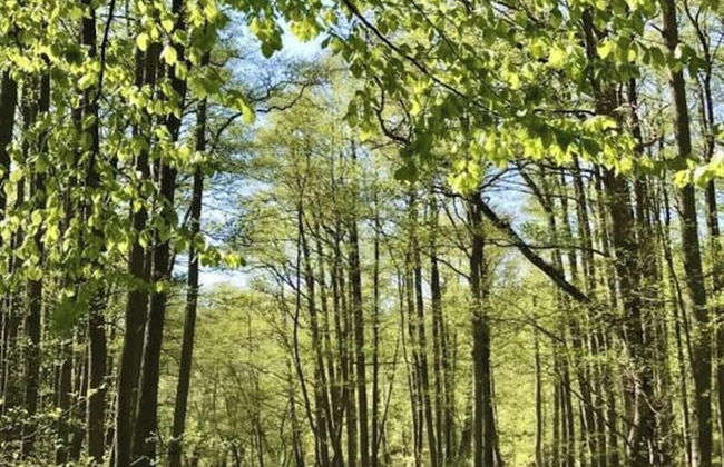 Holiday Home Marla Comfortable Vacation Home - Foto 5