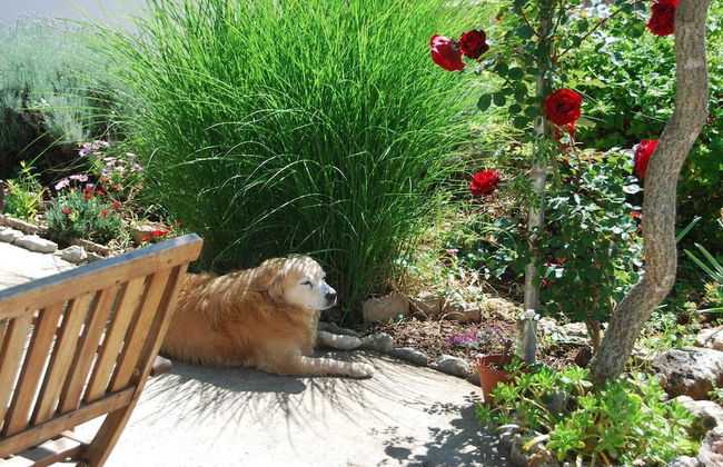 Rustic House Miketa - Family Summertime - Foto 25