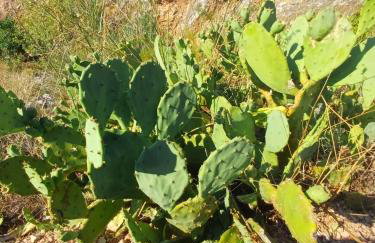 Apartman Maris, self check in - Photo 50