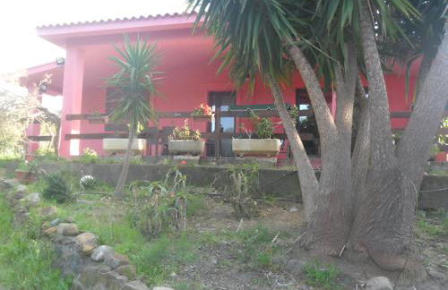 Le dune di Portixeddu - Foto 7