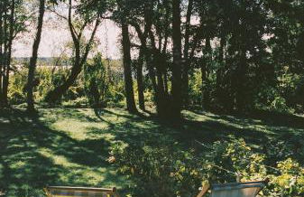 Am Mühlenberg - Photo 22