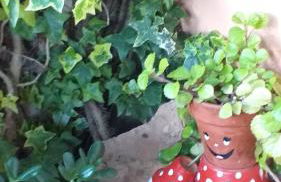 La casita de la playa - Foto 29