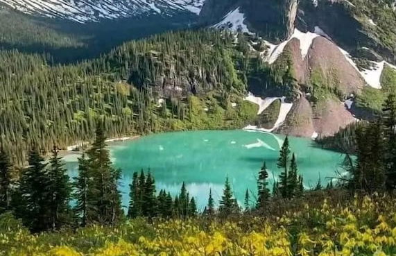 Paradise Park - Photo 10