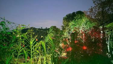 Chalé da Conquista - Photo 5, Garden view