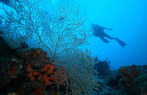 Heracles Guesthouse - Photo 72