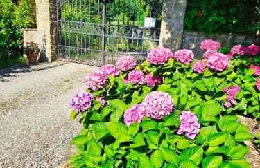 Agriturismo La Marginella - Photo 73